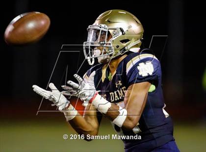 Thumbnail 1 in Alemany @ Notre Dame (SO) photogallery.