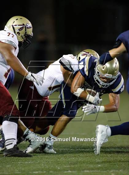 Thumbnail 1 in Alemany @ Notre Dame (SO) photogallery.