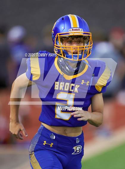 Thumbnail 2 in Bushland vs. Brock photogallery.
