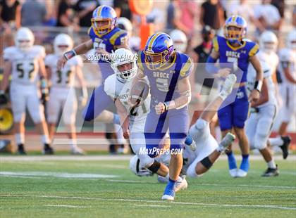 Thumbnail 2 in Bushland vs. Brock photogallery.