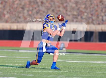 Thumbnail 1 in Bushland vs. Brock photogallery.
