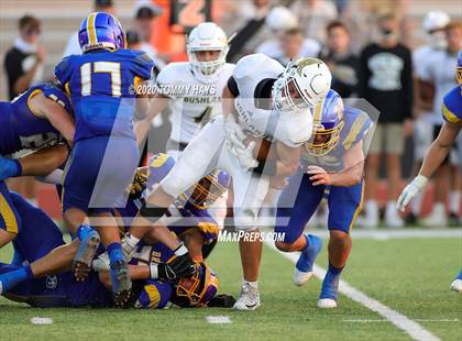Thumbnail 3 in Bushland vs. Brock photogallery.
