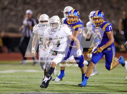 Thumbnail 2 in Bushland vs. Brock photogallery.