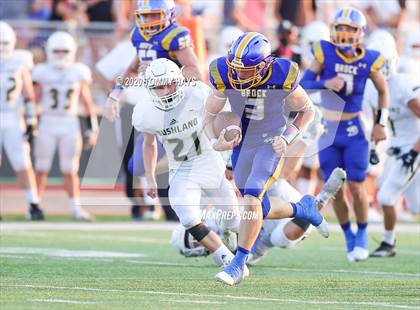 Thumbnail 1 in Bushland vs. Brock photogallery.
