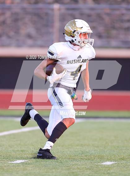 Thumbnail 1 in Bushland vs. Brock photogallery.