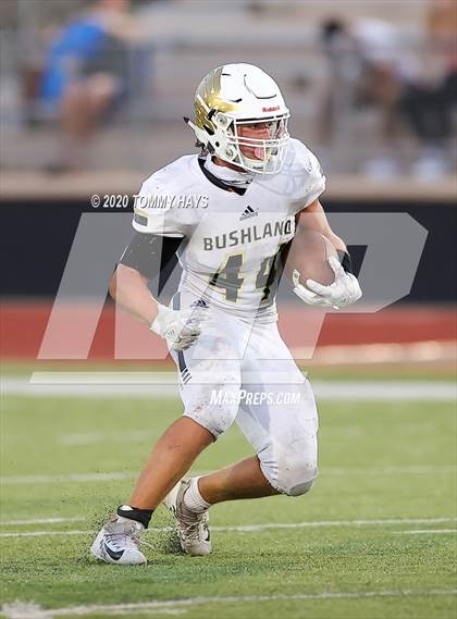 Thumbnail 1 in Bushland vs. Brock photogallery.
