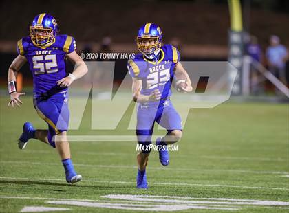 Thumbnail 2 in Bushland vs. Brock photogallery.