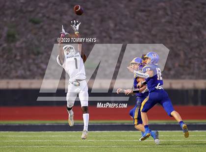 Thumbnail 1 in Bushland vs. Brock photogallery.