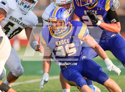 Thumbnail 1 in Bushland vs. Brock photogallery.