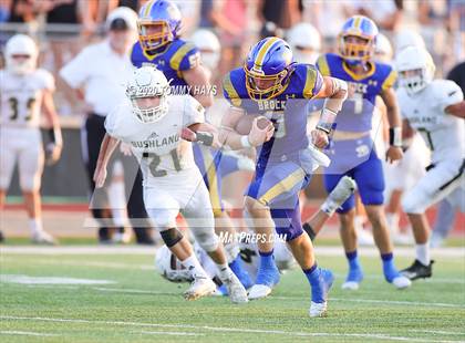 Thumbnail 3 in Bushland vs. Brock photogallery.