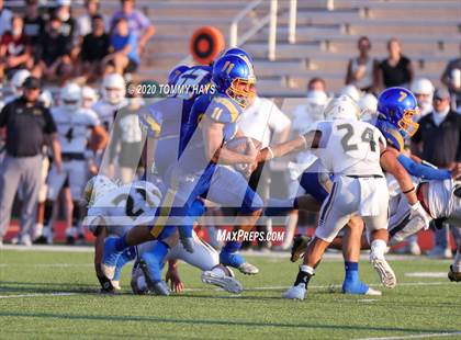 Thumbnail 1 in Bushland vs. Brock photogallery.