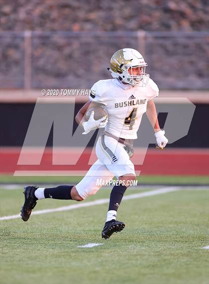 Thumbnail 3 in Bushland vs. Brock photogallery.