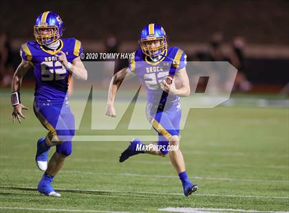 Thumbnail 1 in Bushland vs. Brock photogallery.