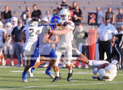 Thumbnail 2 in Bushland vs. Brock photogallery.