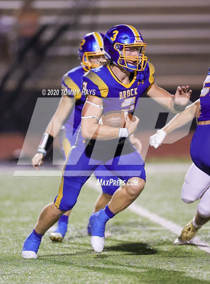 Thumbnail 1 in Bushland vs. Brock photogallery.