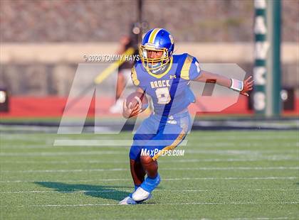 Thumbnail 1 in Bushland vs. Brock photogallery.