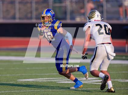 Thumbnail 3 in Bushland vs. Brock photogallery.