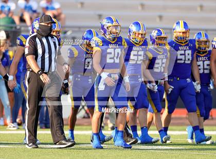 Thumbnail 1 in Bushland vs. Brock photogallery.