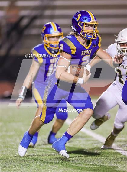 Thumbnail 2 in Bushland vs. Brock photogallery.