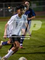 Photo from the gallery "Theodore @ Baker"