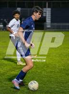 Photo from the gallery "Theodore @ Baker"