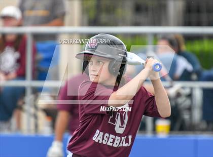 Thumbnail 1 in Red Oak @ Midlothian photogallery.
