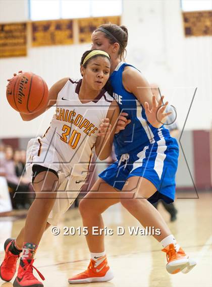 Thumbnail 3 in West Springfield @ Chicopee photogallery.