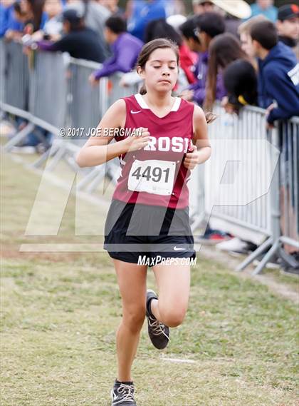 Thumbnail 1 in CIF Central Section Cross Country Championships (Girls D5 Race) photogallery.