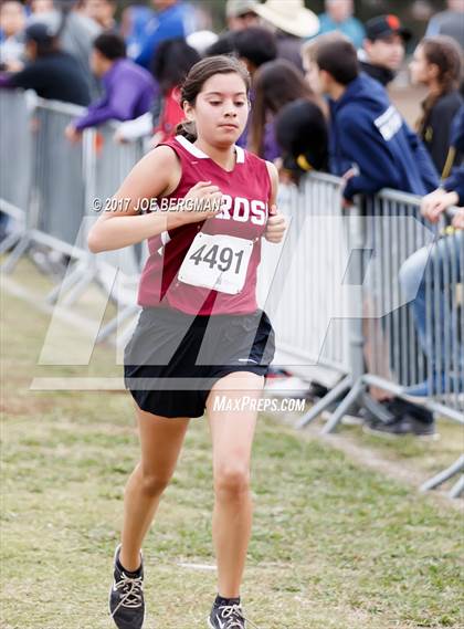 Thumbnail 2 in CIF Central Section Cross Country Championships (Girls D5 Race) photogallery.