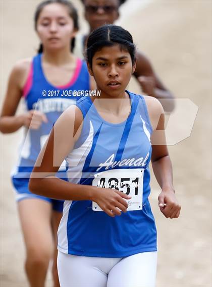 Thumbnail 1 in CIF Central Section Cross Country Championships (Girls D5 Race) photogallery.