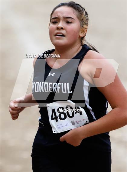 Thumbnail 3 in CIF Central Section Cross Country Championships (Girls D5 Race) photogallery.