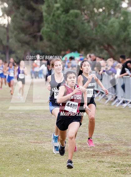 Thumbnail 2 in CIF Central Section Cross Country Championships (Girls D5 Race) photogallery.