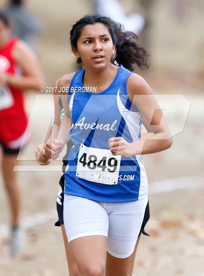 Thumbnail 1 in CIF Central Section Cross Country Championships (Girls D5 Race) photogallery.