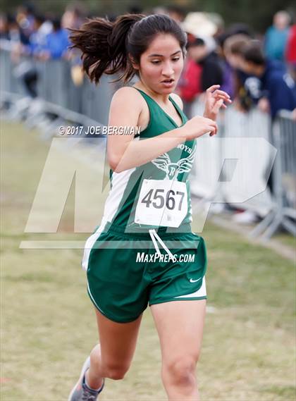 Thumbnail 1 in CIF Central Section Cross Country Championships (Girls D5 Race) photogallery.