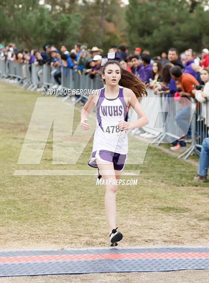 Thumbnail 2 in CIF Central Section Cross Country Championships (Girls D5 Race) photogallery.