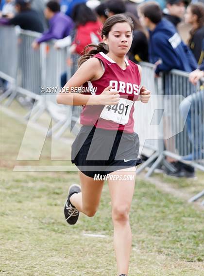 Thumbnail 3 in CIF Central Section Cross Country Championships (Girls D5 Race) photogallery.