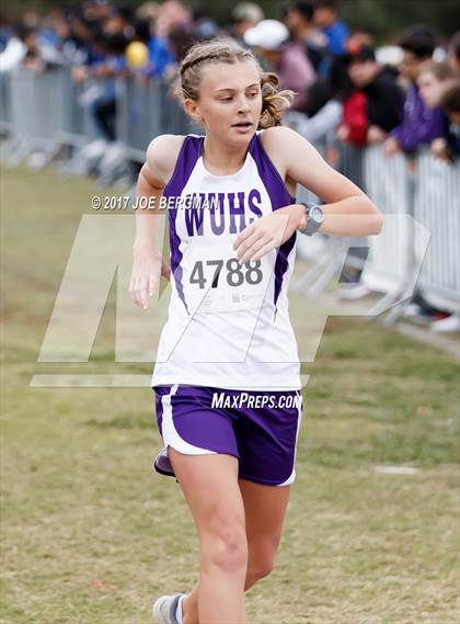 Thumbnail 1 in CIF Central Section Cross Country Championships (Girls D5 Race) photogallery.