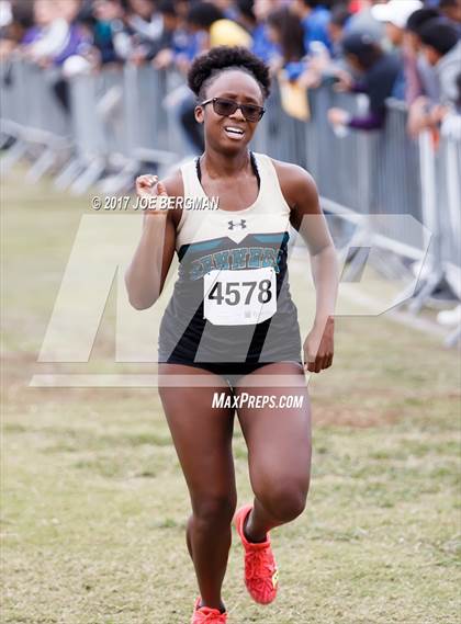 Thumbnail 2 in CIF Central Section Cross Country Championships (Girls D5 Race) photogallery.