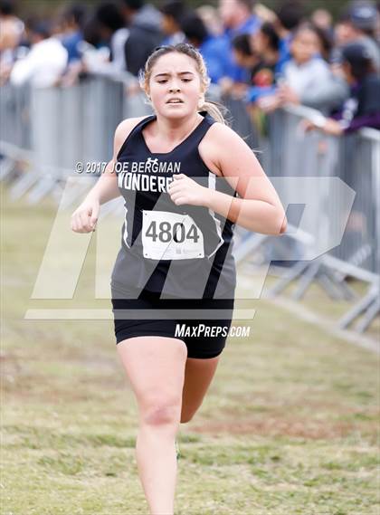 Thumbnail 1 in CIF Central Section Cross Country Championships (Girls D5 Race) photogallery.