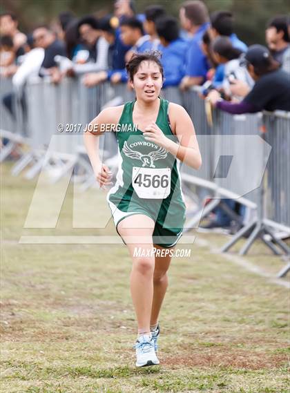 Thumbnail 3 in CIF Central Section Cross Country Championships (Girls D5 Race) photogallery.