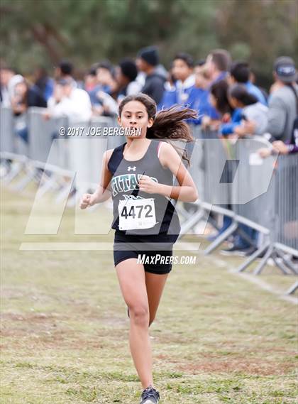 Thumbnail 1 in CIF Central Section Cross Country Championships (Girls D5 Race) photogallery.