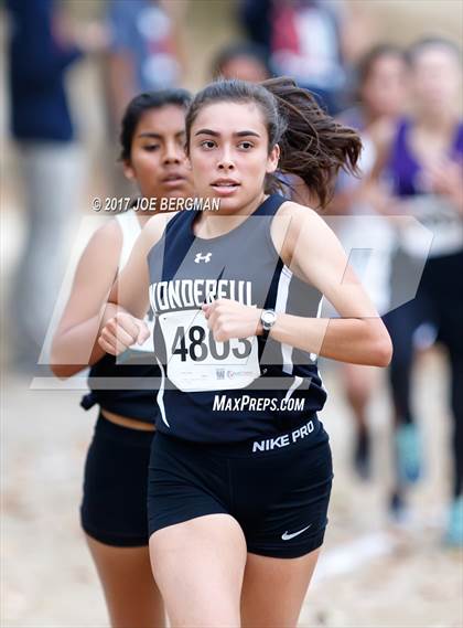 Thumbnail 1 in CIF Central Section Cross Country Championships (Girls D5 Race) photogallery.