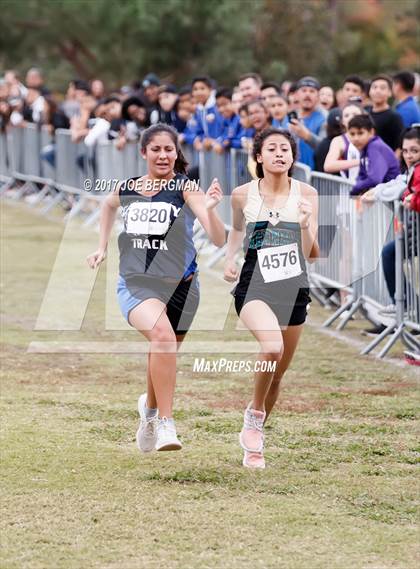 Thumbnail 1 in CIF Central Section Cross Country Championships (Girls D5 Race) photogallery.