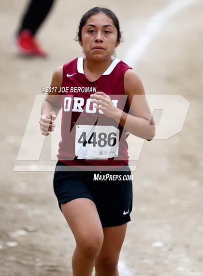 Thumbnail 1 in CIF Central Section Cross Country Championships (Girls D5 Race) photogallery.