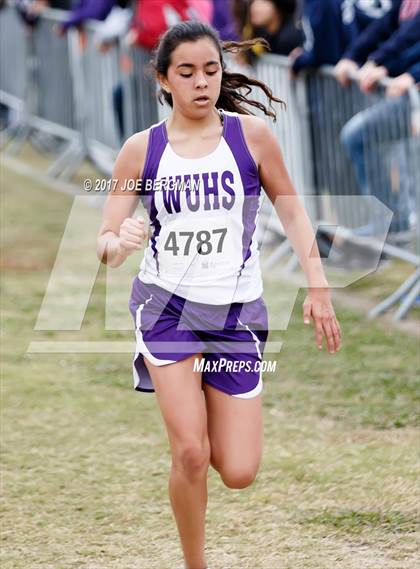 Thumbnail 3 in CIF Central Section Cross Country Championships (Girls D5 Race) photogallery.