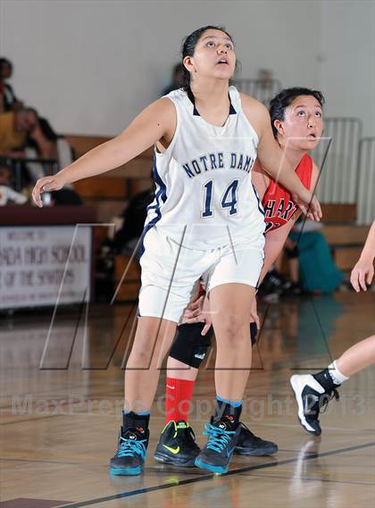 Thumbnail 3 in Notre Dame vs. Hart (La Canada Tournament) photogallery.
