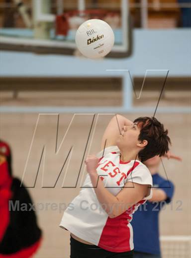 null - Photo 11
