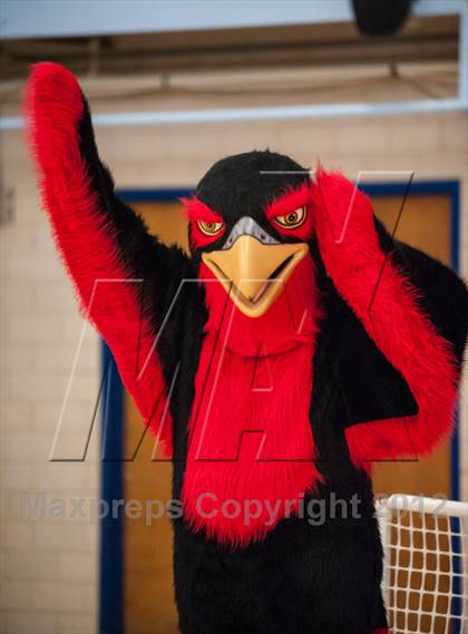 Thumbnail 3 in Exeter-West Greenwich vs. Cranston West (RIIL D2 Final) photogallery.