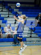 Photo from the gallery "Mountain View @ Dobson"