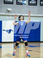 Photo from the gallery "Mountain View @ Dobson"
